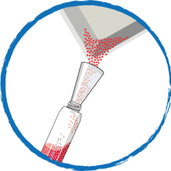 Sviluppo Web